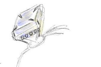 Design sketch of a ring on a white background