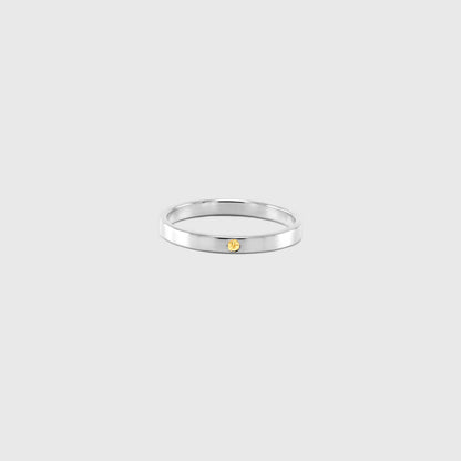 Classic 2mm Flat Band
