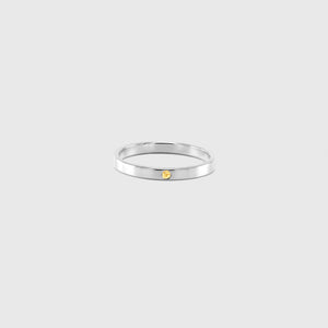 Classic 2mm Flat Band